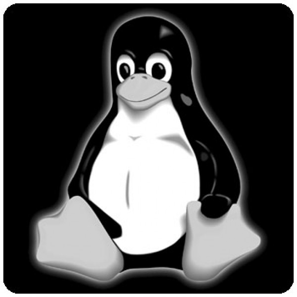 Notebook-Sticker - Tux - schwarz/weiss