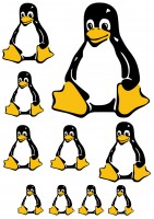 Maxi-Sticker - Pinguin A4