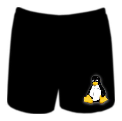 Boxershorts - Tux